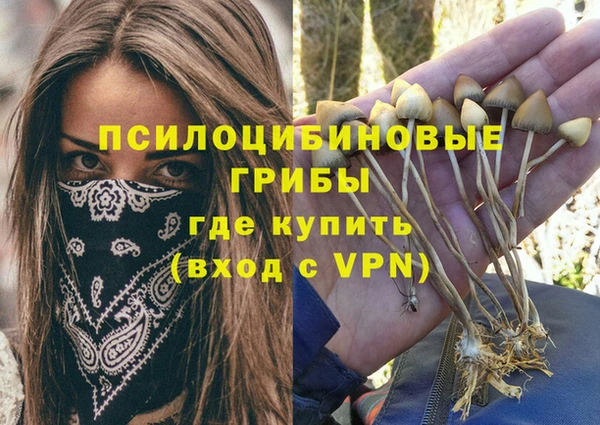 круглые Коряжма