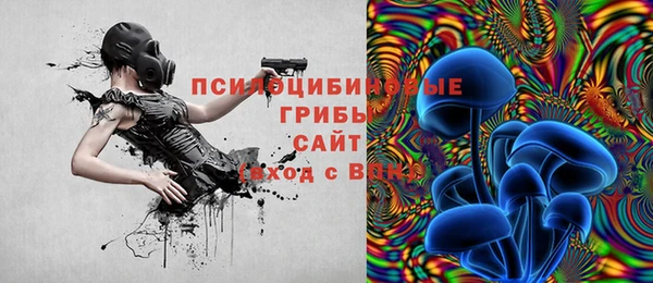 круглые Коряжма